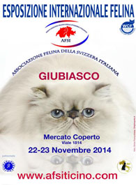 Giubiasco 2014