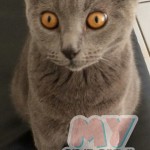 image-05c16b8c27 image-05c16b8c27