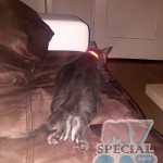 image-109d378705 image-109d378705