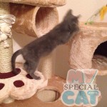 image-11447a0b0 image-11447a0b0