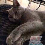 image-1d7d70e72 image-1d7d70e72