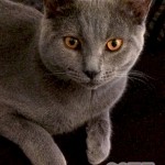 image-289f961169 image-289f961169