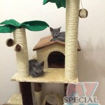 image-34161bd7ea9 image-34161bd7ea9