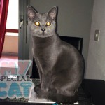 image-3c47c6aed image-3c47c6aed