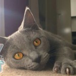 image-48f19b4b99 image-48f19b4b99