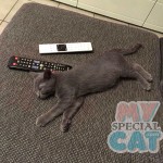 image-4e2cd743d7 image-4e2cd743d7