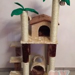 image-56ded7861e image-56ded7861e