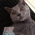 image-5a4e2540d5 image-5a4e2540d5