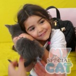 image-5ba1513236 image-5ba1513236