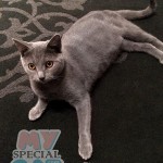 image-5e250e4ec2 image-5e250e4ec2