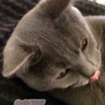 image-65773d5b24e image-65773d5b24e