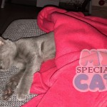 image-6ee5252948 image-6ee5252948