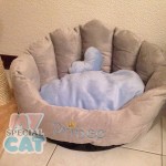 image-78368374099 image-78368374099