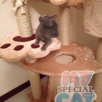 image-7d912c391b image-7d912c391b