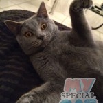 image-8a832bee3d image-8a832bee3d