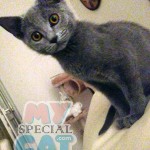 image-8baab8d66d image-8baab8d66d