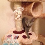 image-8cfd3b80fbe image-8cfd3b80fbe