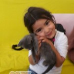 image-976297c0748 image-976297c0748