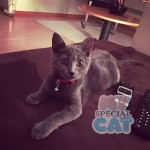 image-a07a34be7058 image-a07a34be7058