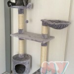 image-a47e031de52f7b image-a47e031de52f7b