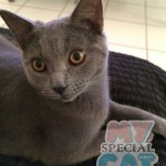 image-a70ebed4b073 image-a70ebed4b073