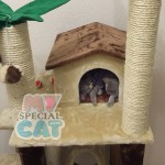 image-bfcf8b7549a70 image-bfcf8b7549a70