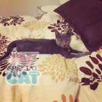 image-c2165dae6193 image-c2165dae6193