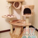 image-cdf40c751ea64 image-cdf40c751ea64