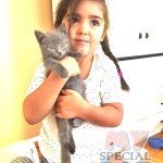 image-ef24310f1d145 image-ef24310f1d145