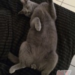 image-fa62570c6b504 image-fa62570c6b504